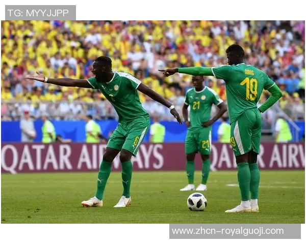 巴西队与哥斯达黎加队的精彩对决分析与赛前预测